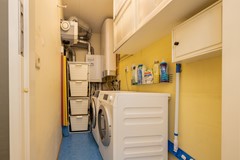 Vrouwenmantel 81  Schoonhoven 054.jpg
